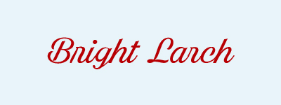 bright-larch-script-font