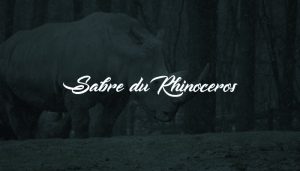 Sabre-du-rhinoceros
